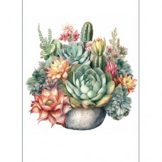 FLORAL BEAUTIES GREETING CARD Succulent 3